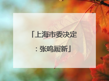 上海市委决定：张鸣履新